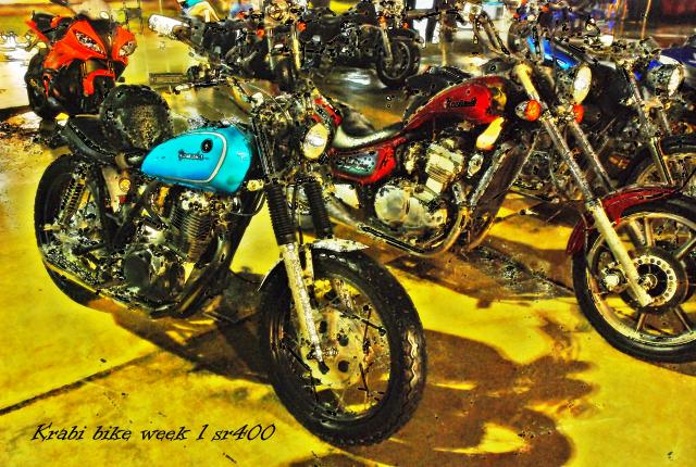 Name:  DSC_6745.jpg
Views: 1059
Size:  84.6 KB