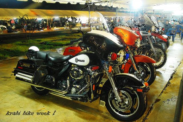 Name:  DSC_6751.jpg
Views: 856
Size:  76.7 KB