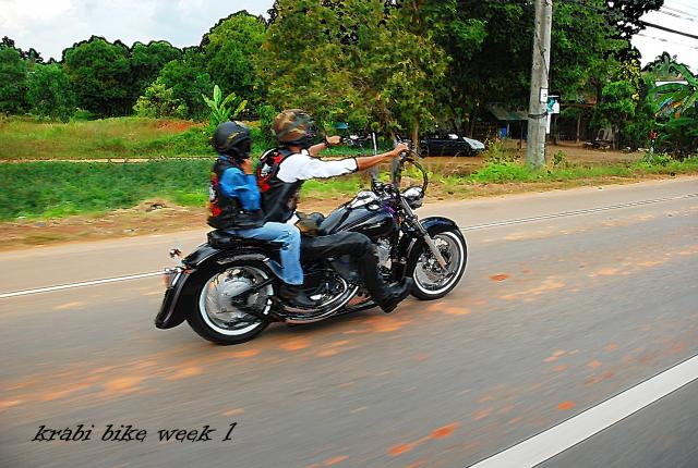 Name:  DSC_6767.jpg
Views: 780
Size:  63.8 KB
