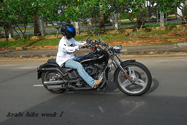 Name:  DSC_6771.jpg
Views: 796
Size:  71.0 KB