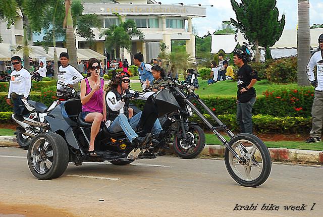 Name:  DSC_6774.jpg
Views: 809
Size:  81.2 KB