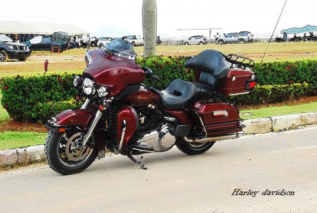Name:  DSC_6776.jpg
Views: 792
Size:  69.1 KB