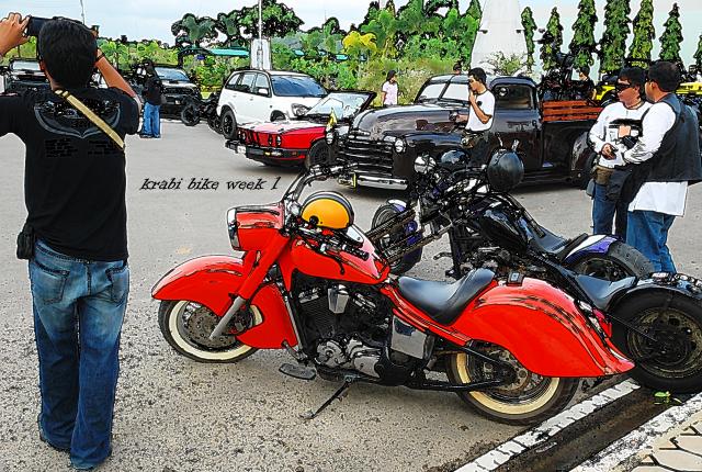 Name:  DSC_6786.jpg
Views: 808
Size:  93.1 KB
