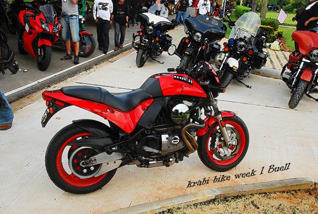 Name:  DSC_6818.jpg
Views: 791
Size:  78.3 KB