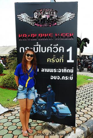 Name:  DSC_6831.jpg
Views: 737
Size:  43.6 KB