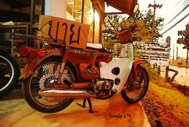 Name:  DSC_7044.jpg
Views: 773
Size:  73.3 KB
