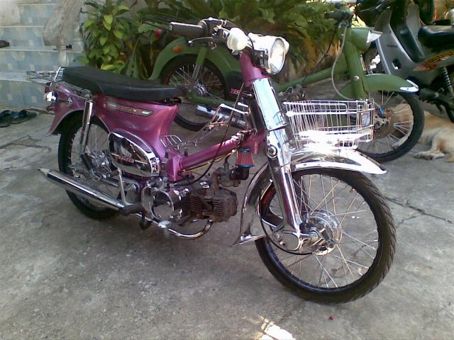 Name:  30112011(005).jpg
Views: 1382
Size:  64.0 KB