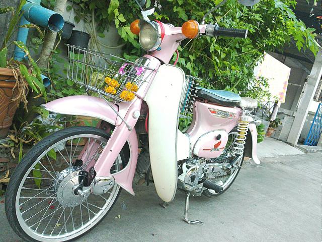 Name:  nuta100175-001.jpg
Views: 132
Size:  84.2 KB
