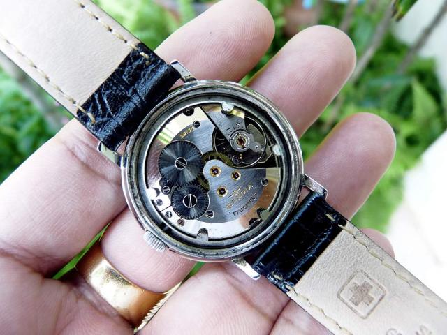 Name:  MondiaH.jpg
Views: 1438
Size:  54.5 KB