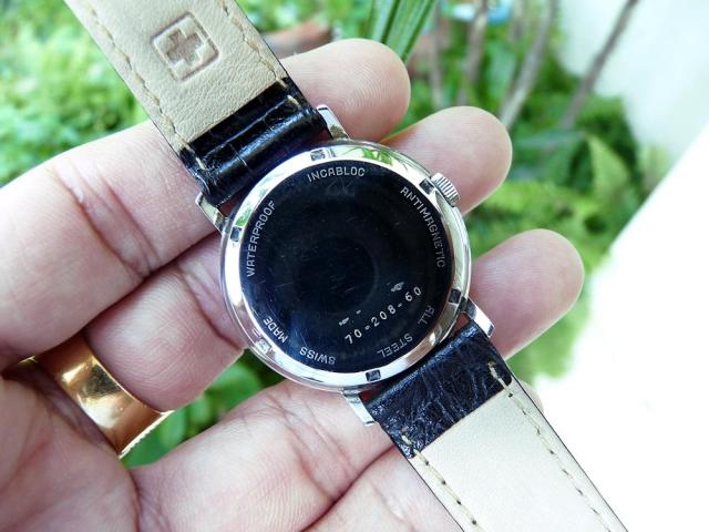 Name:  MondiaG.jpg
Views: 1578
Size:  44.9 KB