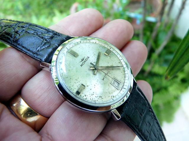 Name:  MondiaE.jpg
Views: 1568
Size:  49.6 KB