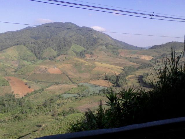 Name:  Photo-0136.jpg
Views: 1050
Size:  43.1 KB
