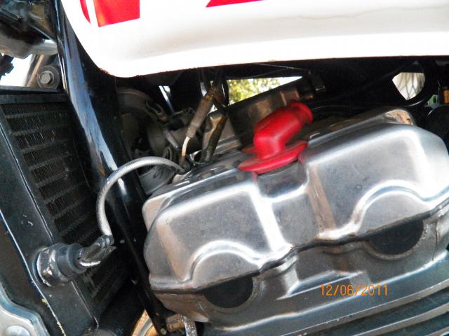 Name:  101_0034.jpg
Views: 351
Size:  47.5 KB
