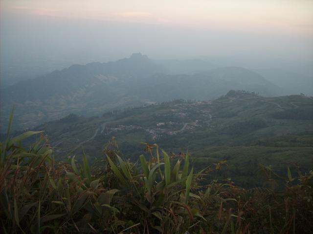 Name:  SANY5284.jpg
Views: 490
Size:  26.6 KB