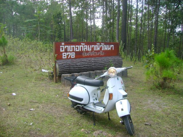 Name:  DSC02530.jpg
Views: 239
Size:  70.3 KB