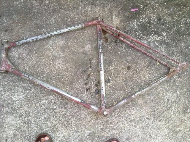 Name:  071220111176.jpg
Views: 262
Size:  92.3 KB