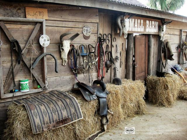 Name:  3.jpg
Views: 354
Size:  76.9 KB