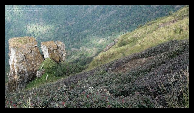 Name:  15.jpg
Views: 342
Size:  63.6 KB