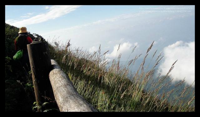 Name:  17.jpg
Views: 382
Size:  39.4 KB