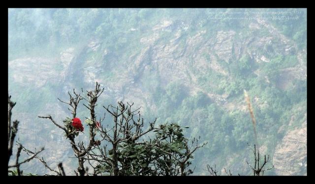 Name:  20.jpg
Views: 399
Size:  43.3 KB