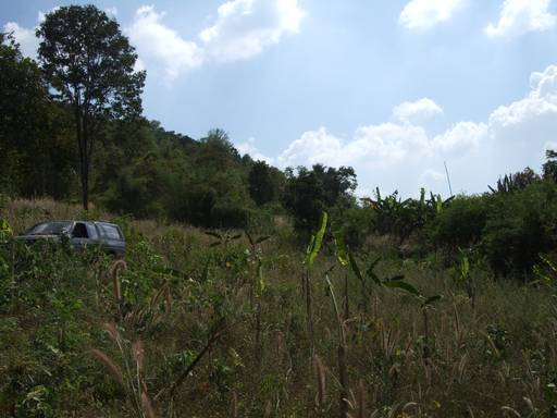 Name:  rsz_a8.jpg
Views: 1063
Size:  39.9 KB