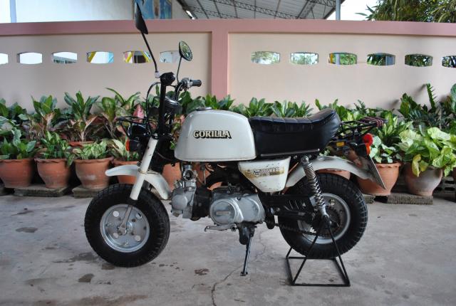 Name:  DSC_0068.jpg
Views: 2385
Size:  50.2 KB