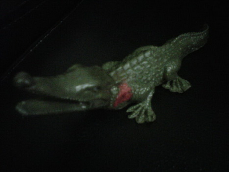 Name:  IMG01178-20111211-2032.jpg
Views: 828
Size:  29.9 KB