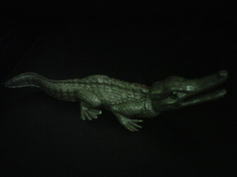 Name:  IMG01179-20111211-2033.jpg
Views: 824
Size:  25.6 KB