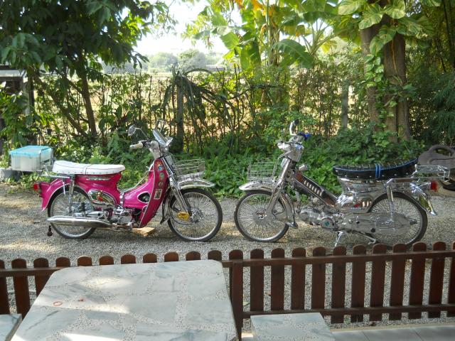 Name:  DSCN0939.jpg
Views: 472
Size:  85.0 KB