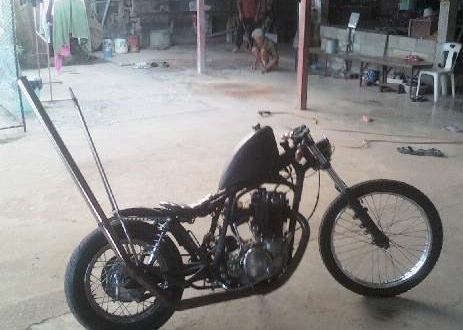 Name:  cats.jpg
Views: 376
Size:  53.9 KB