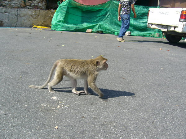 Name:  P1050638.jpg
Views: 162
Size:  119.5 KB