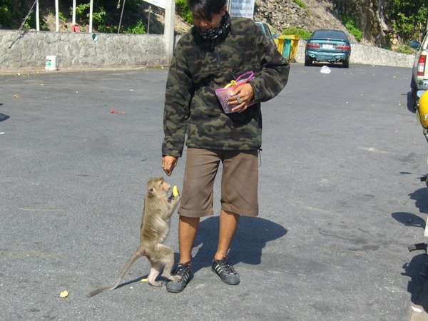 Name:  P1050641.jpg
Views: 156
Size:  110.7 KB