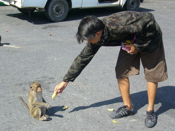 Name:  P1050643.jpg
Views: 153
Size:  118.7 KB