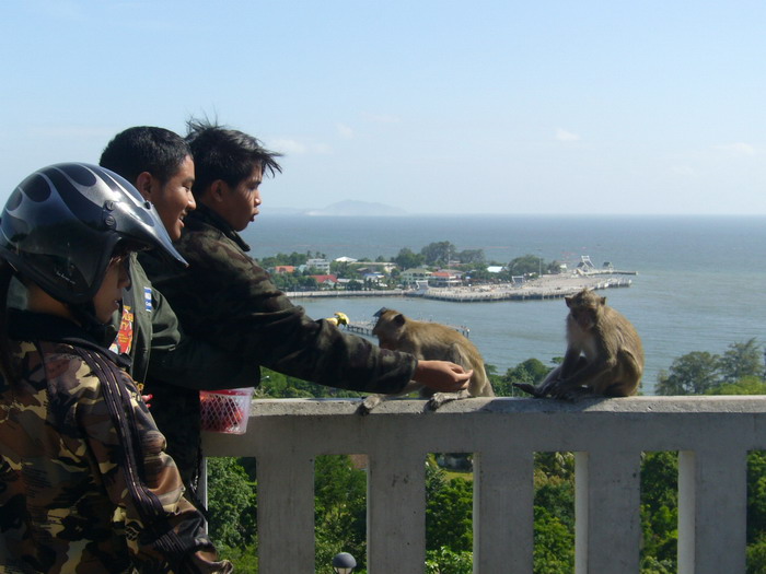 Name:  P1050648.jpg
Views: 150
Size:  96.0 KB