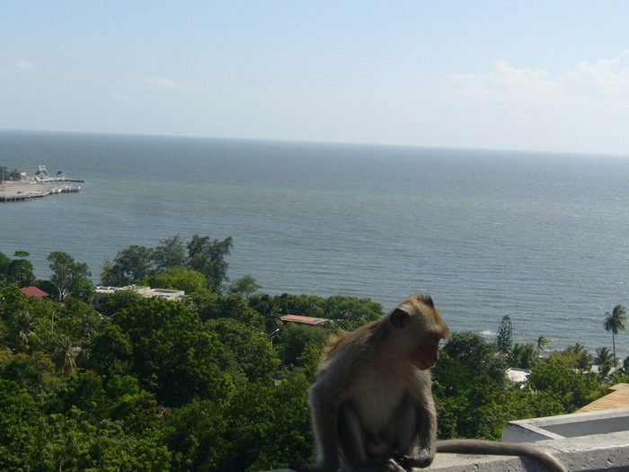 Name:  P1050647.jpg
Views: 129
Size:  102.6 KB