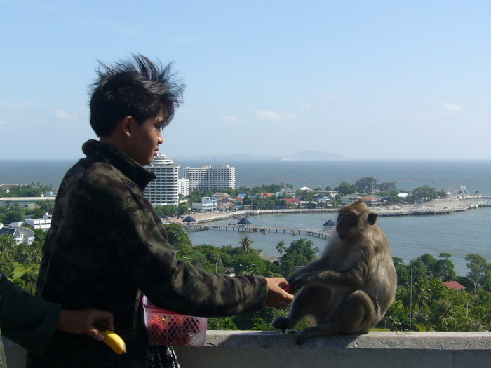 Name:  P1050649.jpg
Views: 122
Size:  95.7 KB