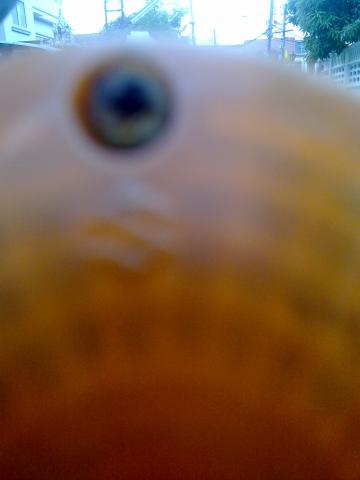 Name:  20111213047.jpg
Views: 480
Size:  11.9 KB