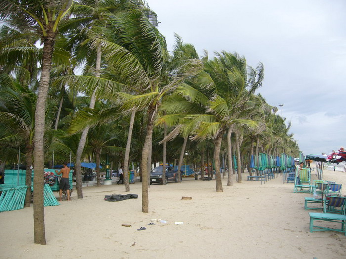 Name:  P1050739.jpg
Views: 95
Size:  147.7 KB