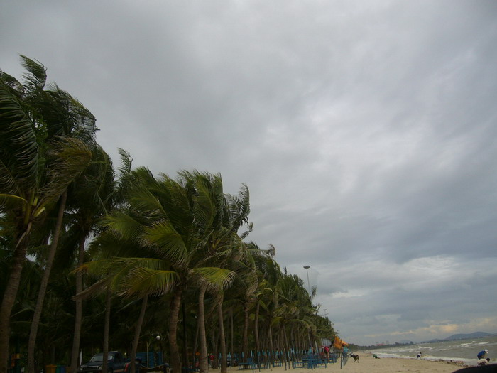 Name:  P1050750.jpg
Views: 97
Size:  85.7 KB