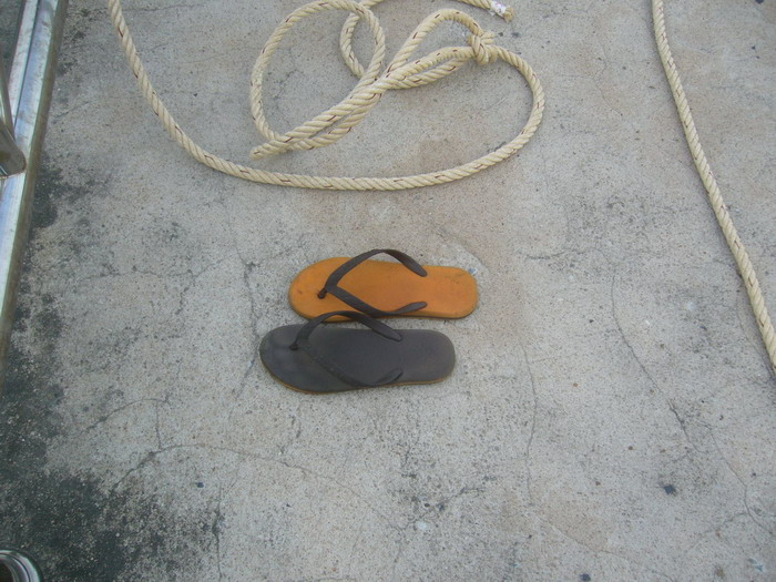 Name:  P1050771.jpg
Views: 92
Size:  144.1 KB