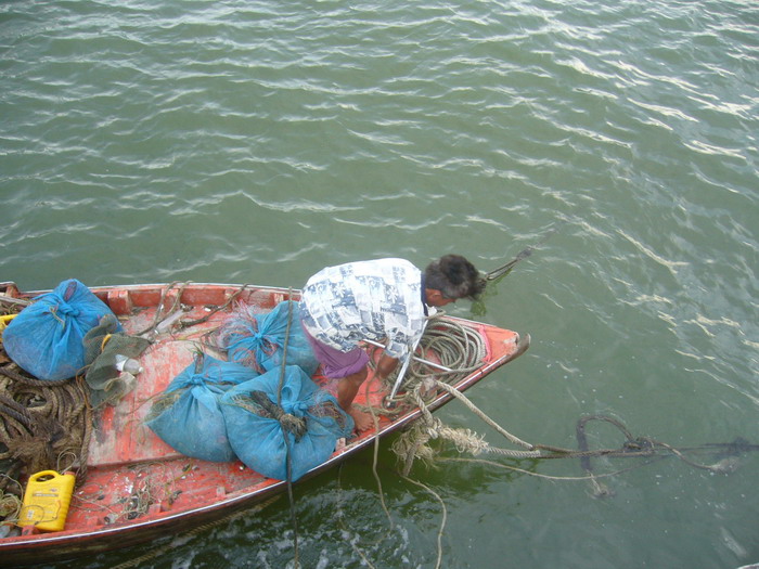 Name:  P1050782.jpg
Views: 89
Size:  135.1 KB