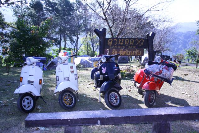 Name:  IMG_0067.jpg
Views: 929
Size:  74.9 KB