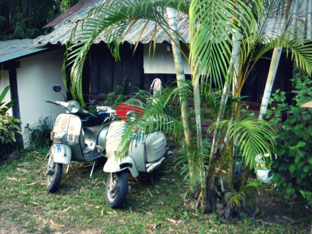 Name:  DSC06856.jpg
Views: 622
Size:  70.5 KB