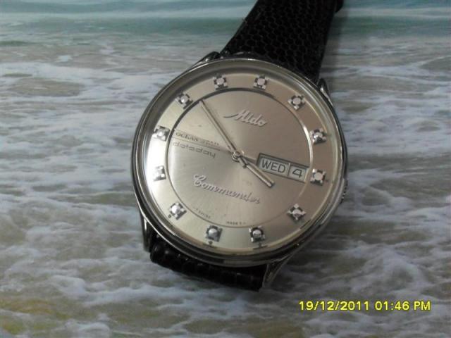 Name:  SDC15240 (Medium).jpg
Views: 583
Size:  37.0 KB