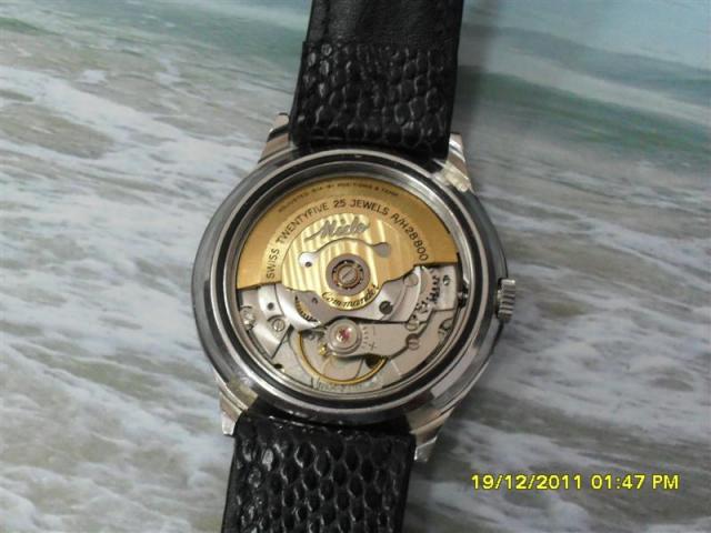 Name:  SDC15244 (Medium).jpg
Views: 572
Size:  41.9 KB