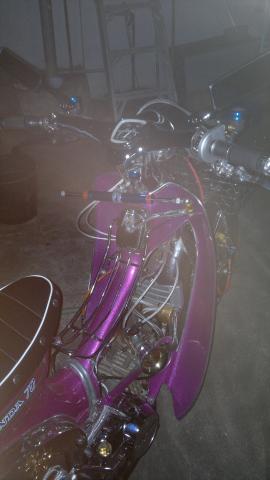 Name:  267597_176496772409913_100001487756920_443478_3995947_n.jpg
Views: 2297
Size:  16.9 KB