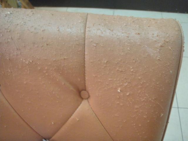 Name:  P1010215.jpg
Views: 947
Size:  27.5 KB