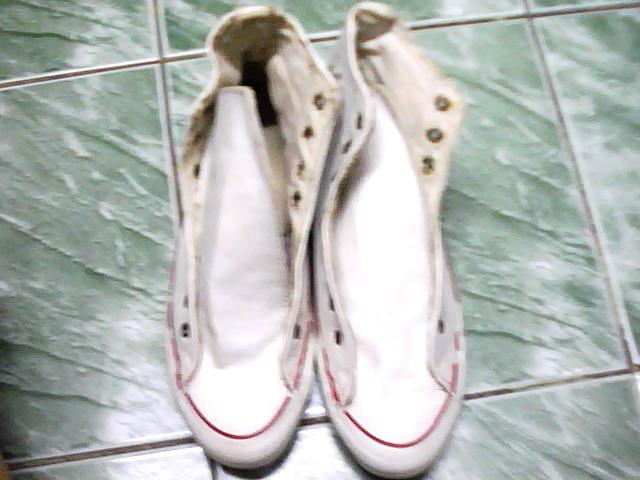 Name:  Picture 010.jpg
Views: 1055
Size:  40.0 KB