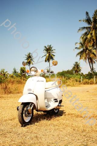 Name:  IMG_1147.jpg
Views: 1687
Size:  28.6 KB