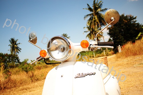 Name:  IMG_1153.JPG
Views: 1335
Size:  72.4 KB